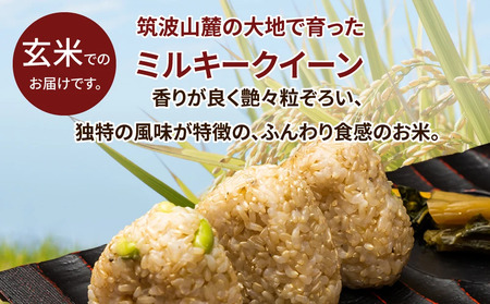 令和5年産 茨城県産 ミルキークイーン 玄米 2kg×9袋｜このお米は石抜き機、色彩選別機の処理済みです ※離島への配送不可