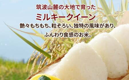 【先行予約】令和6年産 茨城県産 ミルキークイーン 精米5kg　※離島への配送不可　※2024年10月上旬頃より順次発送予定 ミルキークイーン 米 お米  ご飯 ふっくら お弁当  5kg 送料無料 ブランド米