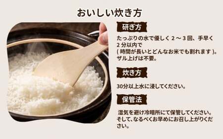 【先行予約】令和6年産 茨城県産 ミルキークイーン 精米5kg　※離島への配送不可　※2024年10月上旬頃より順次発送予定 ミルキークイーン 米 お米  ご飯 ふっくら お弁当  5kg 送料無料 ブランド米