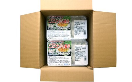 ゆきむら壱番亭のニンニクにら餃子3パック(48個入り) ※離島への配送不可