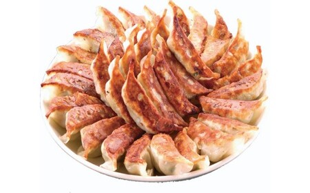 ゆきむら壱番亭の常陸牛餃子3パック(48個入り)　※離島への配送不可