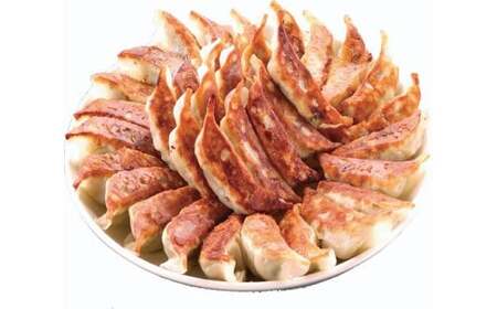 【12ヶ月定期便】ゆきむら壱番亭の肉餃子3パック(48個入り) ※離島への配送不可