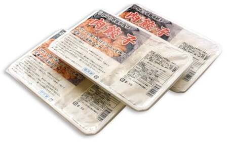 【12ヶ月定期便】ゆきむら壱番亭の肉餃子3パック(48個入り) ※離島への配送不可