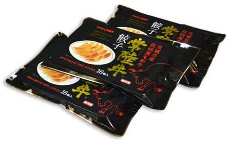 【10ヶ月定期便】ゆきむら壱番亭の常陸牛餃子3パック(48個入り) ※離島への配送不可