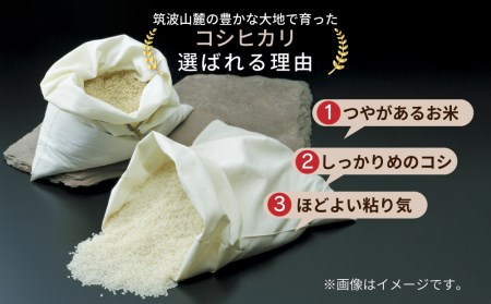 令和5年産茨城県産コシヒカリ　精米　合計10kg (5kg×2袋)※離島への配送不可