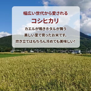 令和7年産 特A※評価地区 筑波山麓ホタルの里厳選米コシヒカリ15kg　透き通った大粒米※離島への配送不可