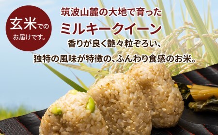 令和5年産 茨城県産 ミルキークイーン 玄米2kg｜このお米は石抜き機、色彩選別機の処理済みです ※離島への配送不可