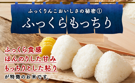 令和7年産！ 木古内町ふっくりんこ　5kg（５kg×1袋）