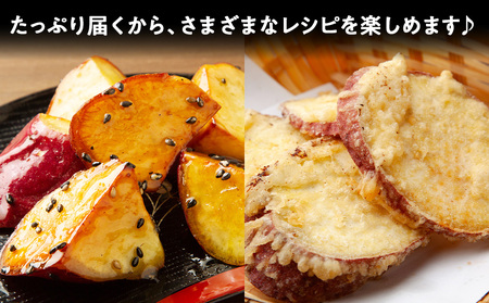 【2026年10月発送!】【秋山農園】北海道産 さつまいも シルクスイート5kg