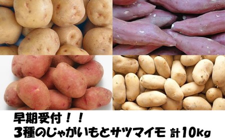 あきやまさん家のじゃがいも3種とサツマイモ 計10kg