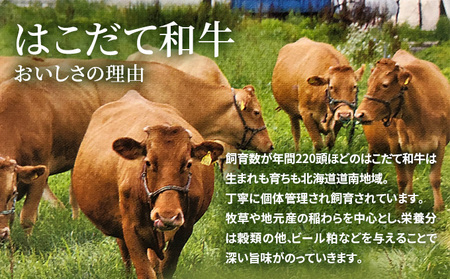 牛肉 はこだて和牛 ブロック肉 800g 和牛 あか牛 小分け 北海道 煮込み料理用