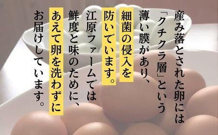 AG16_【定期便3か月】江原ファーム アローカナの青い卵（30個） ※着日