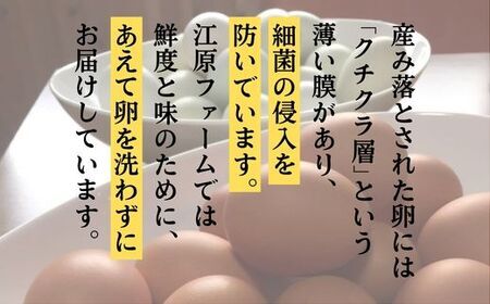【定期便3か月】江原ファーム　地養卵＆アローカナハーフセット（30個）青い卵 ※着日指定不可 _AG19