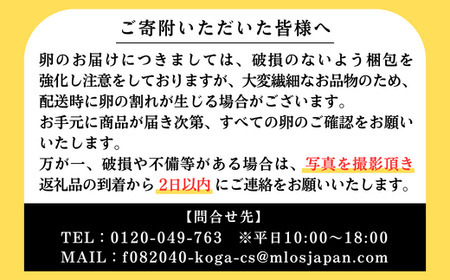 【定期便3か月】江原ファーム　地養卵＆アローカナハーフセット（30個）青い卵 ※着日指定不可 _AG19