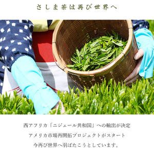 さしま茶ペットボトル2ケース（350ml 24本入り×2ケース） ※着日指定不可 _CD02