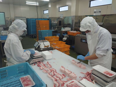 古河市産ローズポーク＆常陸牛『焼肉セット』〈茨城県共通返礼品〉 _AD10