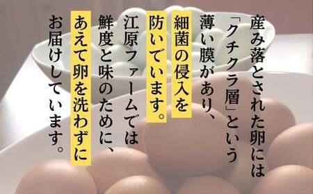 【定期便12か月】江原ファーム　体に優しい地養卵（30個）_AG15