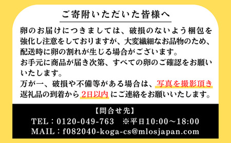 【定期便12か月】江原ファーム　体に優しい地養卵（30個）_AG15