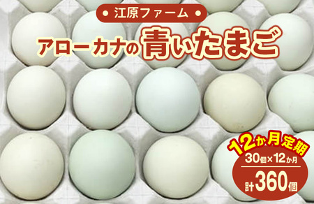 【定期便12か月】江原ファーム　アローカナの青い卵（30個） _AG18