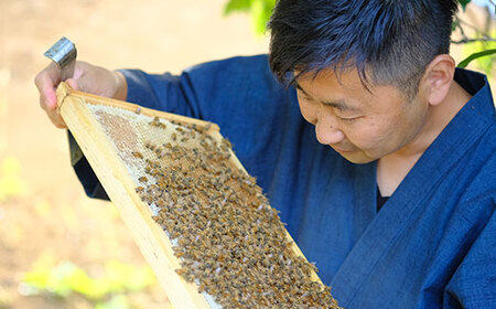季節で移ろう田舎はちみつ3種ギフトセット[結蜜 Musubi-R3] 【茨城県共通返礼品／五霞町】 生ハチミツ 非加熱 茨城県産 ※着日指定不可 _EY03