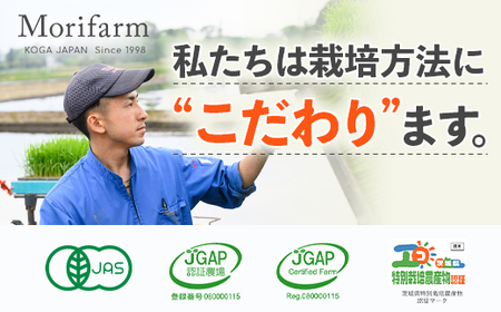 米農家の無添加 玄米ごはん 玄米プレーン 6個セット ※着日指定不可 | 米 こめ コメ ご飯 玄米 パック パックご飯 _BI72