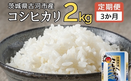 【新米】【定期便 3か月】令和6年産 古河市産コシヒカリ 2kg _DP28