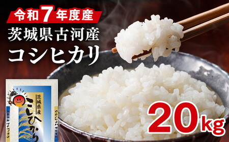 令和7年産 古河市産 コシヒカリ 20kg（5kg×4袋）｜米※2025年9月上旬頃より順次発送予定 _DP24