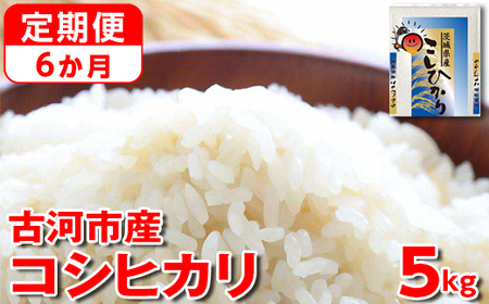 【定期便 6か月】【新米】令和7年産 古河市産コシヒカリ 5kg | 米 こめ コメ ご飯 白米 単一米 国産 茨城県産 _DP35