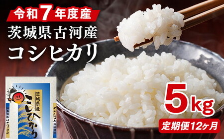 【定期便 12か月】令和7年産 古河市産コシヒカリ 5kg ｜米 _DP36