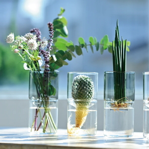 HARIO ガラスの花器 GK-200-T| HARIO ハリオ _EB52