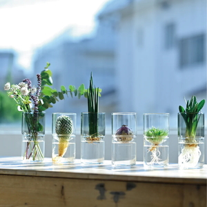 HARIO ガラスの花器 GK-200-T| HARIO ハリオ _EB52