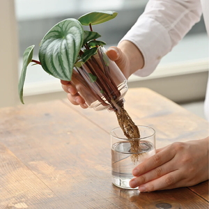 HARIO ガラスの花器 GK-200-T| HARIO ハリオ _EB52