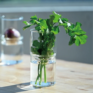 HARIO ガラスの花器 GK-200-TB | HARIO ハリオ_EB53