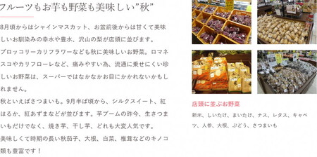 【定期便３か月】道の駅まくらがの里古河　季節の新鮮野菜おまかせBセット  ※北海道・沖縄・離島への配送不可 _BQ06