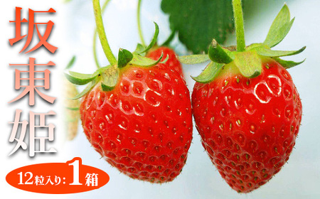 坂東姫 12粒入×1箱  ※2025年12月下旬～2026年2月上旬頃に順次発送予定 ※北海道・沖縄・離島への配送不可 _CB18