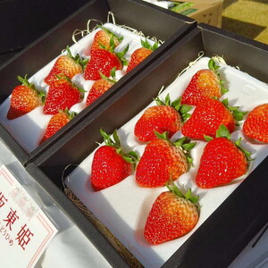 坂東姫 12粒入×1箱  ※2025年12月下旬～2026年2月上旬頃に順次発送予定 ※北海道・沖縄・離島への配送不可 _CB18