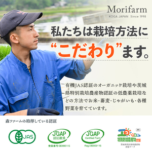 森ファームの美穀美人 ミックス 450g×2個|健康 国産 ヘルシー 食物繊維 ブレンド 雑穀米 オーガニック 米 おいしい 便利 簡単 産地直送 ギフト 贈答 プレゼント ご褒美 900g 茨城 古河市 _BI99