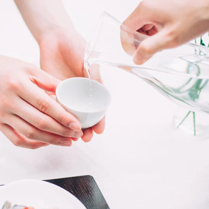 HARIO 徳利・粋［TI-300T］ ｜ HARIO ハリオ_FI04