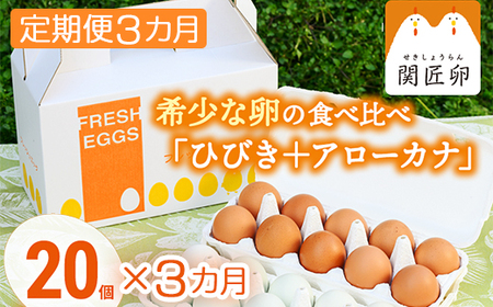 【定期便3か月】関匠卵　ひびき+アローカナハーフセット（計20個×3か月）｜卵 赤玉 アローカナ 青玉 セット 食べ比べ 詰合せ ギフト 贈答 プレゼント 栄養 生みたて 新鮮 生卵 数量限定 関養鶏場 茨城県 古河市 ※北海道・沖縄・離島への配送不可 _CP07