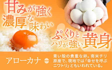 【定期便3か月】関匠卵　ひびき+アローカナハーフセット（計20個×3か月）｜卵 赤玉 アローカナ 青玉 セット 食べ比べ 詰合せ ギフト 贈答 プレゼント 栄養 生みたて 新鮮 生卵 数量限定 関養鶏場 茨城県 古河市 ※北海道・沖縄・離島への配送不可 _CP07