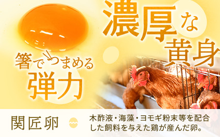 【定期便6か月】関匠卵 たくみ 30個×6か月｜卵 30個 赤玉 玉子 たまご 生卵 鶏卵 産みたて 新鮮 濃厚 健康 TKG たまごかけごはん ご飯のお供 国産 ギフト 贈答 贈り物 お中元 お歳暮 プレゼント 茨城県 古河市 農家直送 ※北海道・沖縄・離島への配送不可 _CP09