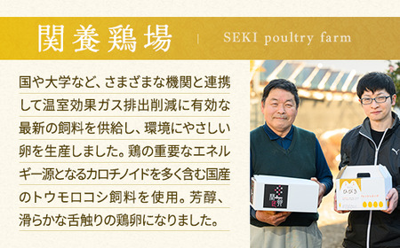 【定期便6か月】関匠卵 たくみ 30個×6か月｜卵 30個 赤玉 玉子 たまご 生卵 鶏卵 産みたて 新鮮 濃厚 健康 TKG たまごかけごはん ご飯のお供 国産 ギフト 贈答 贈り物 お中元 お歳暮 プレゼント 茨城県 古河市 農家直送 ※北海道・沖縄・離島への配送不可 _CP09