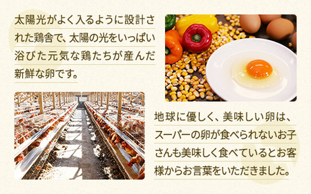 【定期便6か月】関匠卵 たくみ 30個×6か月｜卵 30個 赤玉 玉子 たまご 生卵 鶏卵 産みたて 新鮮 濃厚 健康 TKG たまごかけごはん ご飯のお供 国産 ギフト 贈答 贈り物 お中元 お歳暮 プレゼント 茨城県 古河市 農家直送 ※北海道・沖縄・離島への配送不可 _CP09