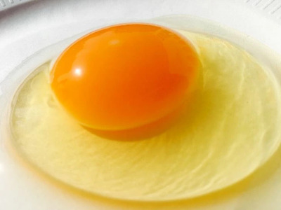 【定期便6か月】 江原ファーム　アローカナの青い卵（20個）| 卵 たまご タマゴ _AG29