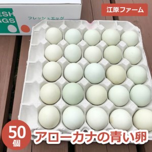 江原ファーム　アローカナの青い卵（５０個）_AG02〇