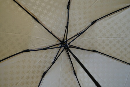 雪華模様の折り畳み傘（サイズ55cm）カラー：ベージュ_BL03◇
