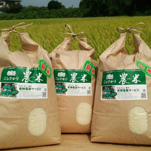 【令和7年産】【新米】古河市産 コシヒカリ15kg【倉持農園】 | 米 こめ コメ こしひかり 国産 単一米 15キロ 茨城県産 古河市 _AN02 ※2025年11月上旬頃より順次発送予定