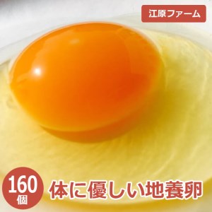 江原ファーム　体に優しい地養卵（１６０個）_AG06〇