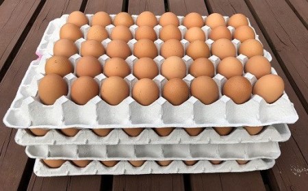 江原ファーム　体に優しい地養卵（１６０個）_AG06〇