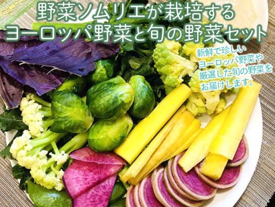 Ct01 野菜ソムリエが栽培するヨーロッパ野菜と旬の野菜セット 22年4月中旬 12月下旬頃に順次発送予定 沖縄 離島への配送不可 着日指定不可 茨城県古河市 ふるさと納税サイト ふるなび